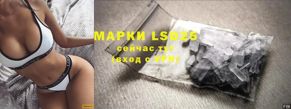 прущие грибы Балахна