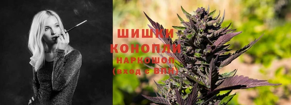 прущие грибы Балахна