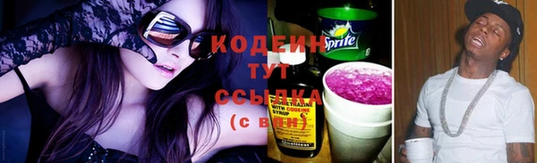прущие грибы Балахна
