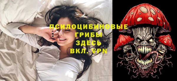 ПСИЛОЦИБИНОВЫЕ ГРИБЫ Баксан