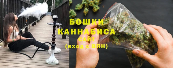 прущие грибы Балахна