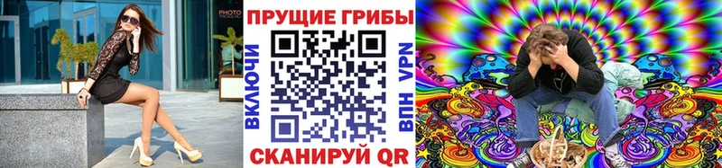 Галлюциногенные грибы GOLDEN TEACHER  Козельск 